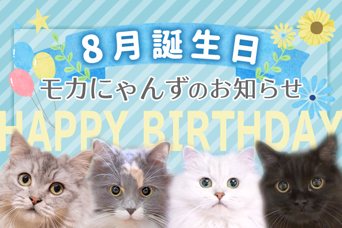 ８月誕生日モカにゃんずのお知らせ 猫カフェモカ お知らせ メディア掲載情報