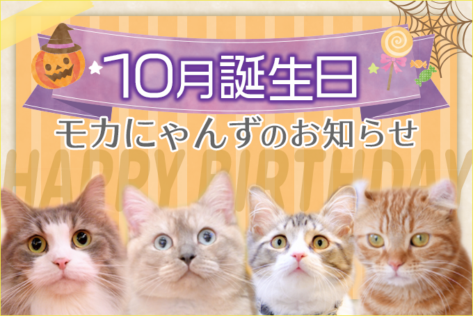 10月誕生日モカにゃんずのお知らせ 10 1追記 猫カフェモカ お知らせ メディア掲載情報