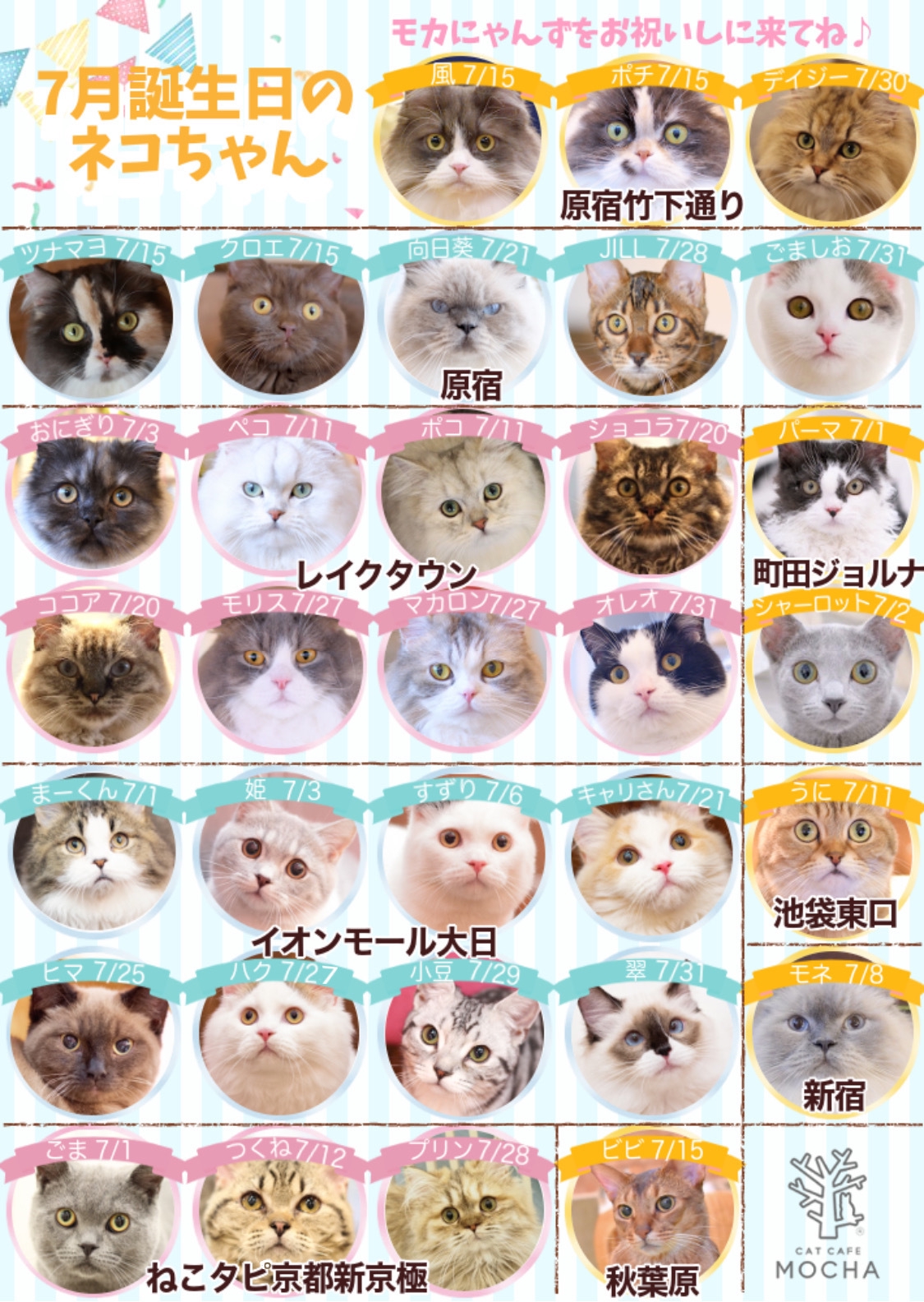 7月誕生日モカにゃんずのお知らせ | 猫カフェモカ お知らせ