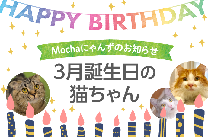 3月誕生日モカにゃんずのお知らせ 猫カフェモカ お知らせ メディア掲載情報