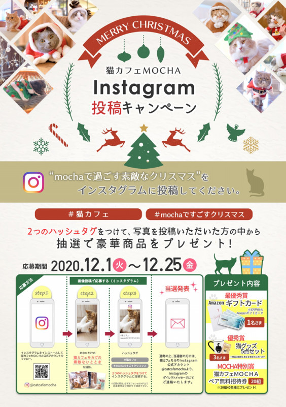 猫カフェmochaインスタグラムキャンペーン第5弾開催いたします 猫カフェモカ お知らせ メディア掲載情報