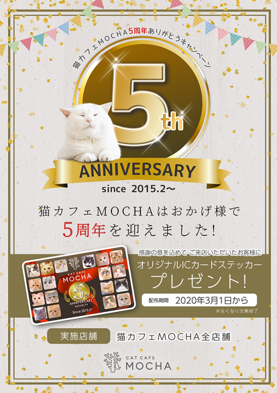 猫カフェmocha5周年記念ノベルティグッズ配布中 猫カフェモカ お知らせ メディア掲載情報