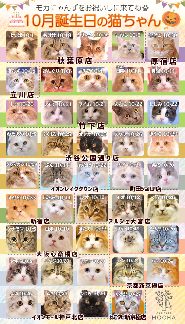 10月誕生日モカにゃんずのお知らせ 10 1追記 猫カフェモカ お知らせ メディア掲載情報