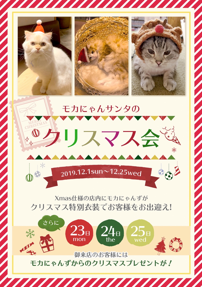 モカにゃんサンタのクリスマス会を開催いたします 猫カフェモカ お知らせ メディア掲載情報