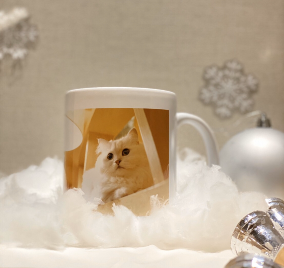 再告知 モカにゃんサンタのクリスマス会 猫カフェモカ お知らせ メディア掲載情報