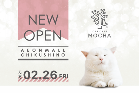 福岡県初出店 イオンモール筑紫野店がオープンします 猫カフェモカ お知らせ メディア掲載情報 福岡県初出店 イオンモール筑紫野店がオープンします 猫カフェモカ お知らせ メディア掲載情報