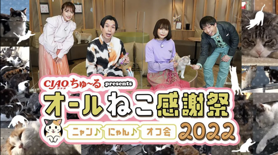 猫カフェmocha秋葉原店がbsテレ東 オール猫感謝祭 の収録で使用されました 猫カフェモカ お知らせ メディア掲載情報