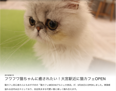 メディア情報 ページ3 猫カフェモカ お知らせ メディア掲載情報