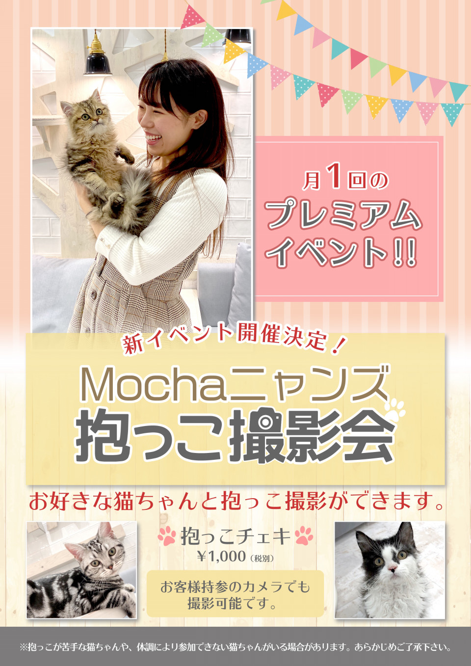 Mochaニャンズ抱っこ撮影会大好評実施中 猫カフェモカ お知らせ メディア掲載情報