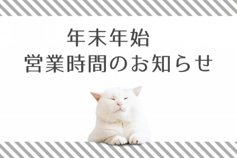 店舗情報 ページ1 猫カフェモカ お知らせ メディア掲載情報 店舗情報 ページ1 猫カフェモカ お知らせ メディア掲載情報