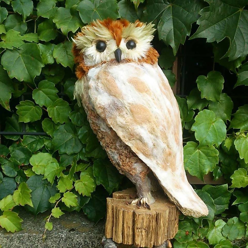 フクロウ好き必見！バイオリンひきのフクロウのアレブリヘ（送料込み！） image.php?id=2460065&p=shopn&s