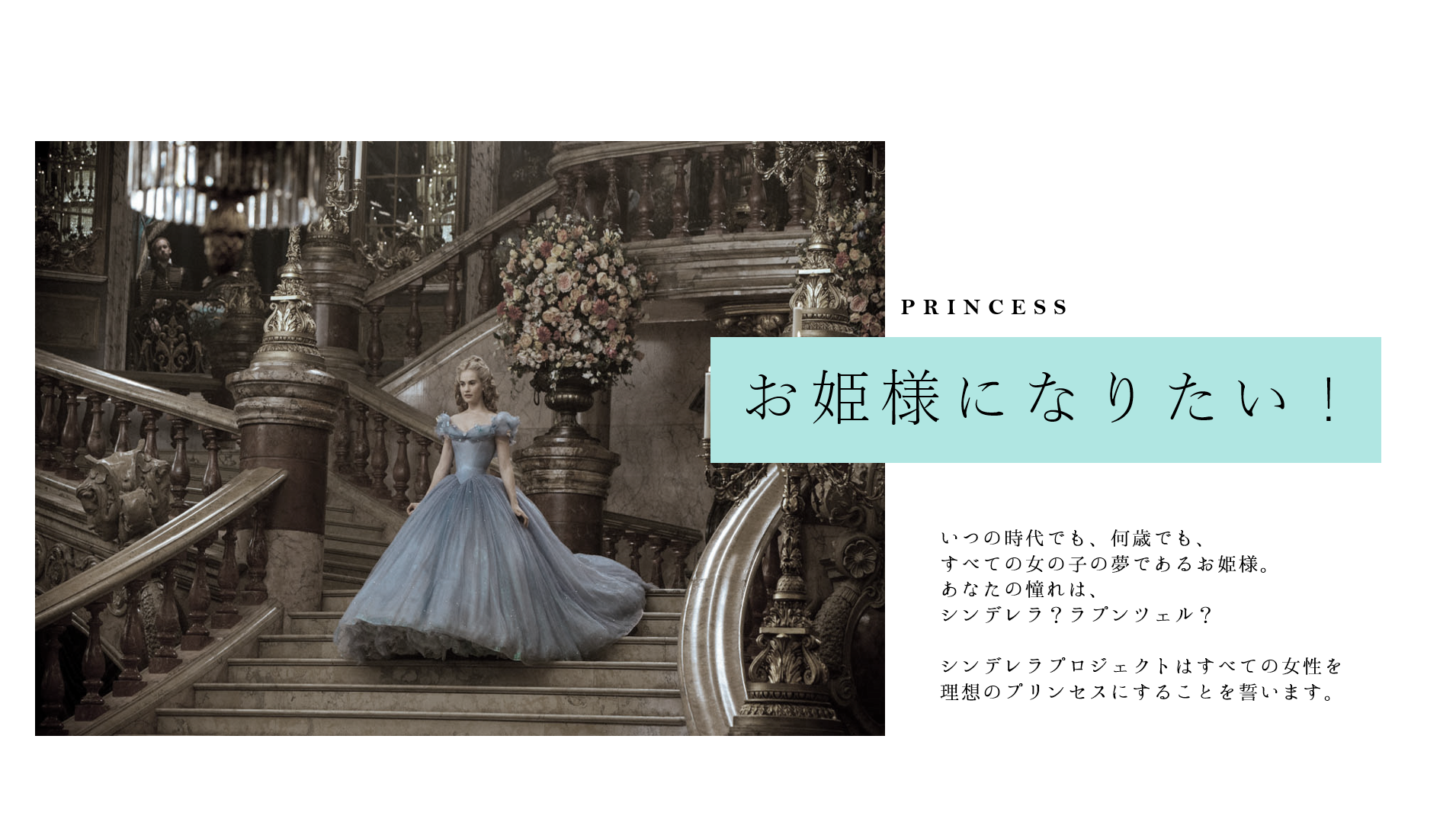 Princess Project とは Princess Project Official