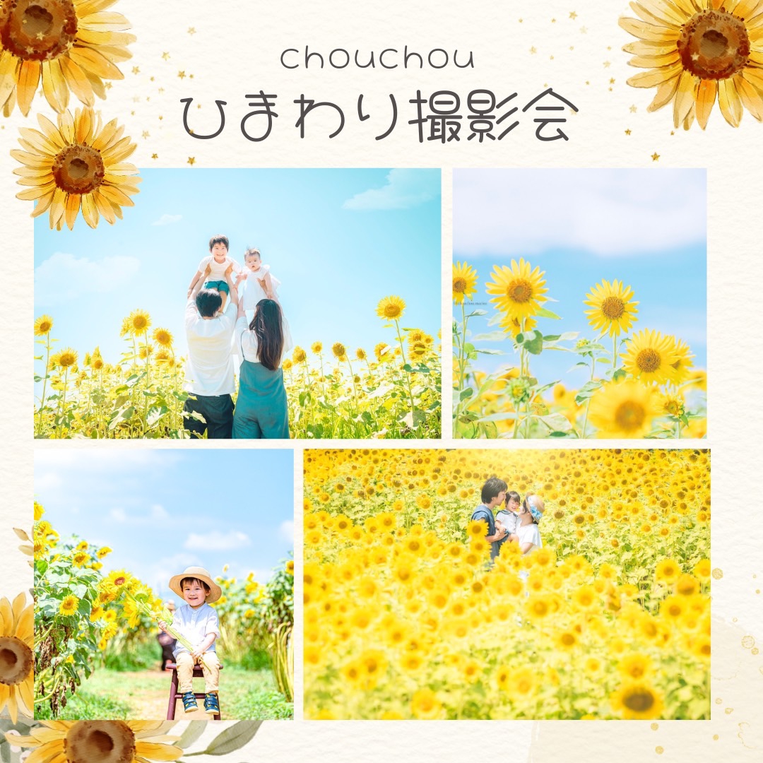 ロケ】ひまわり撮影会🌻 | chouchou