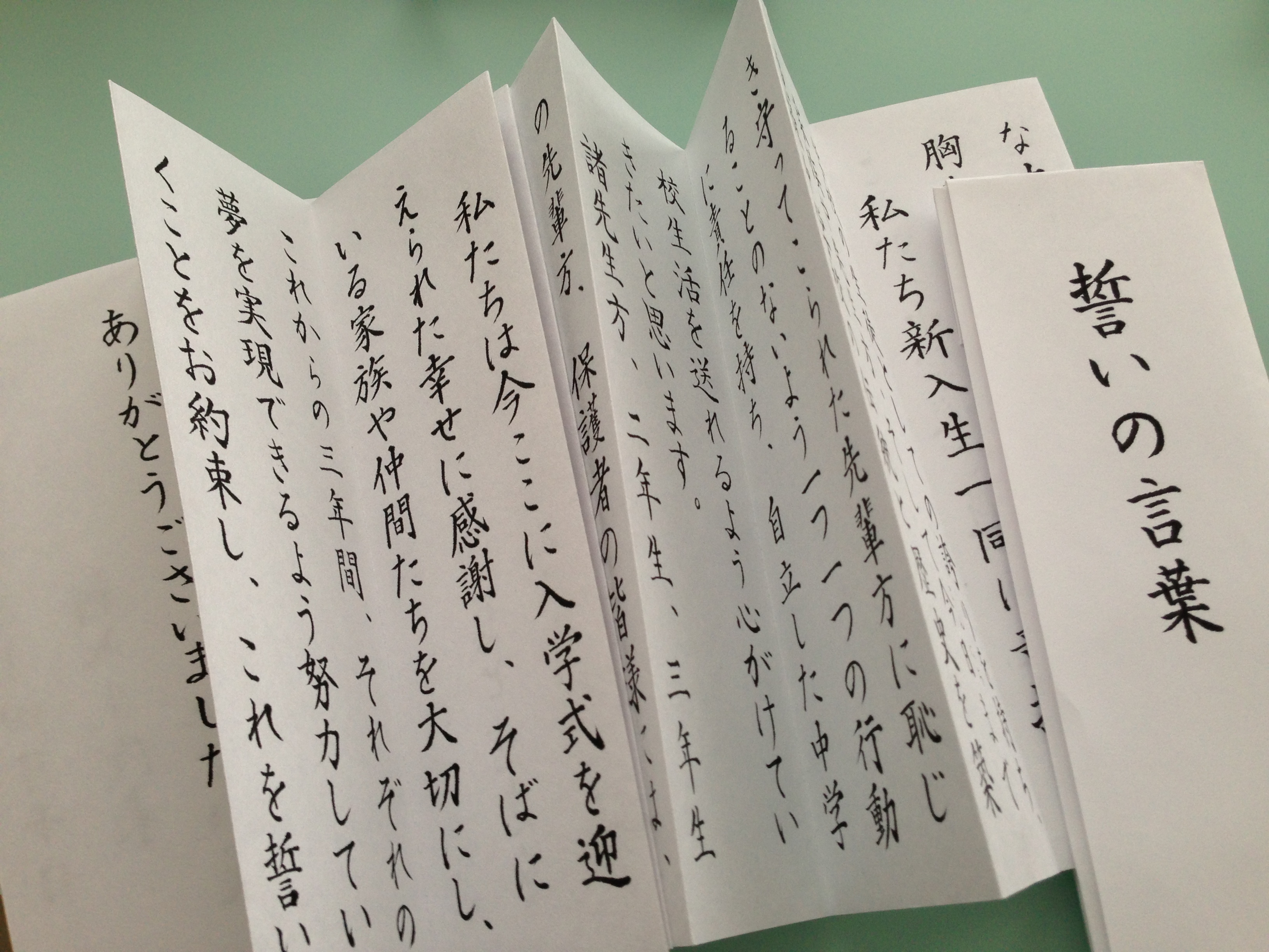 新入生誓いの言葉を書かせていただきました 仲邑青蘭