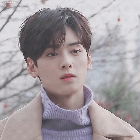 韓国の美男神 チャ ウヌ Hobby