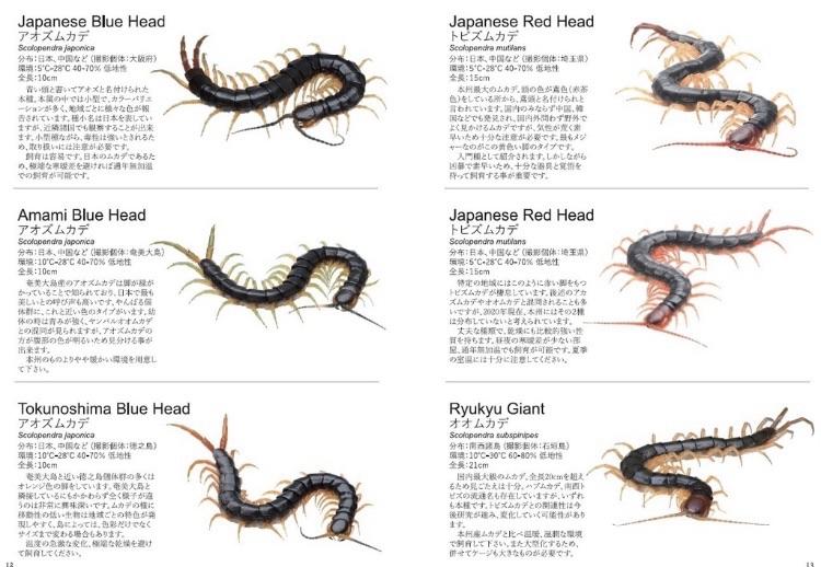 デジタル版 THE CENTIPEDE 図鑑編 | ムカデ専門店 Terminal Legs