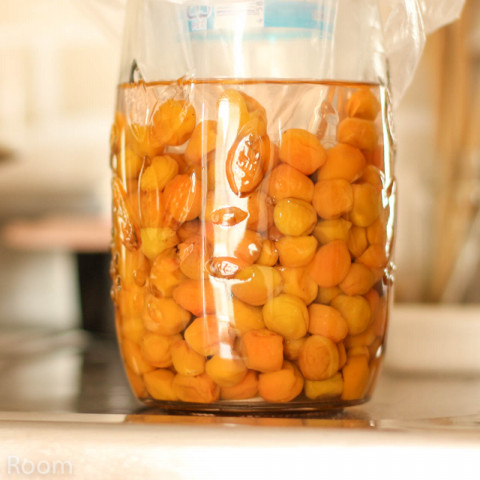 令和元年 梅干しを漬ける 第3話 赤紫蘇の投入 Planter S Room