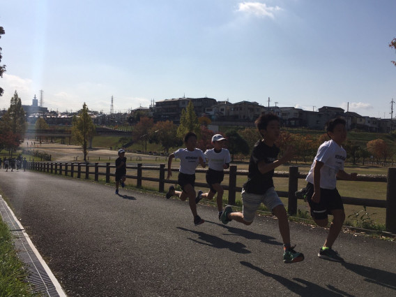 長距離で早く走るためのコツは 腕を軽く振って一定のペースを保つ 寝屋川陸上クラブ