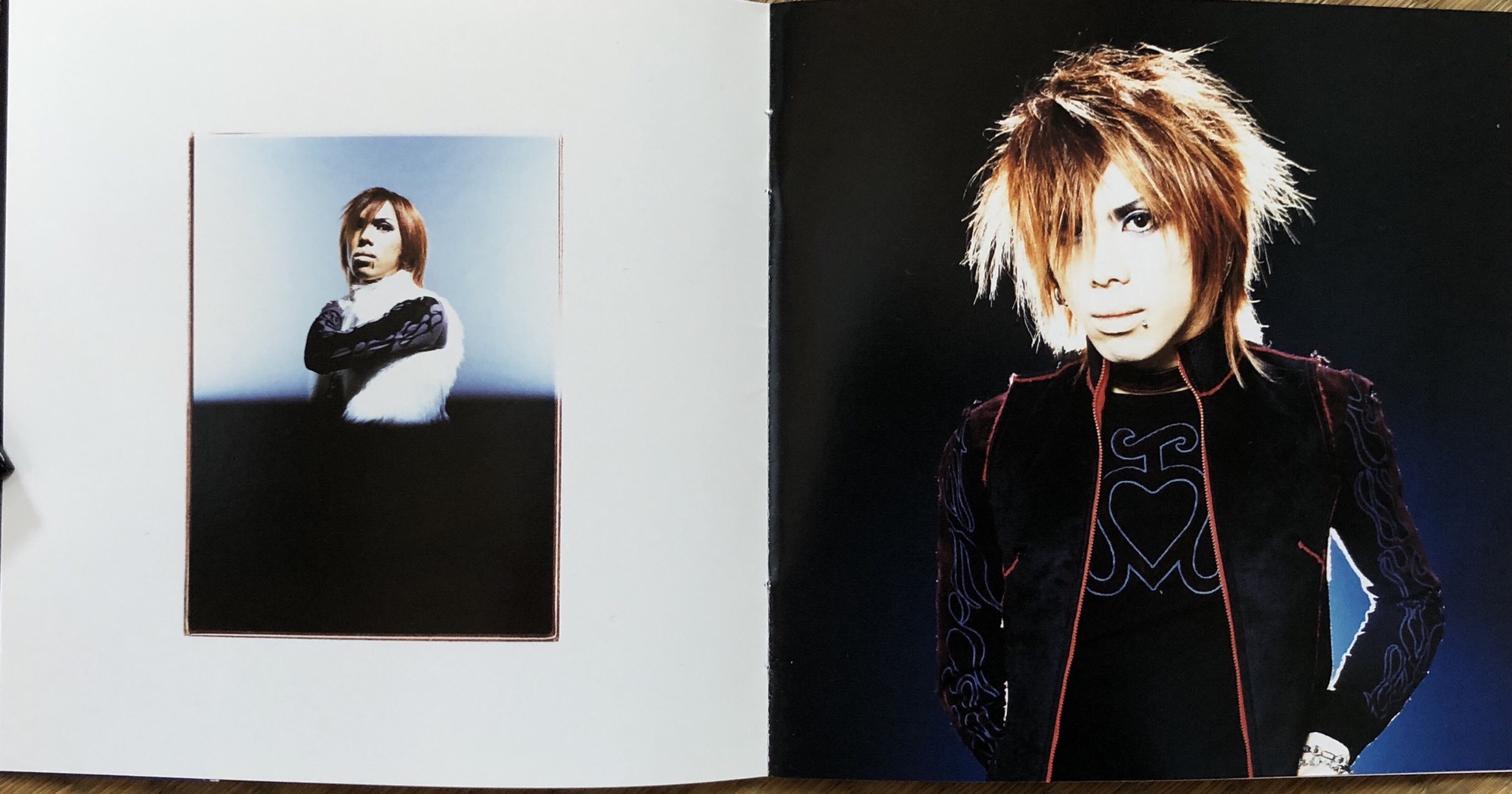 Major 1st album〝D・N・A〟 | Janne Da Arc discography
