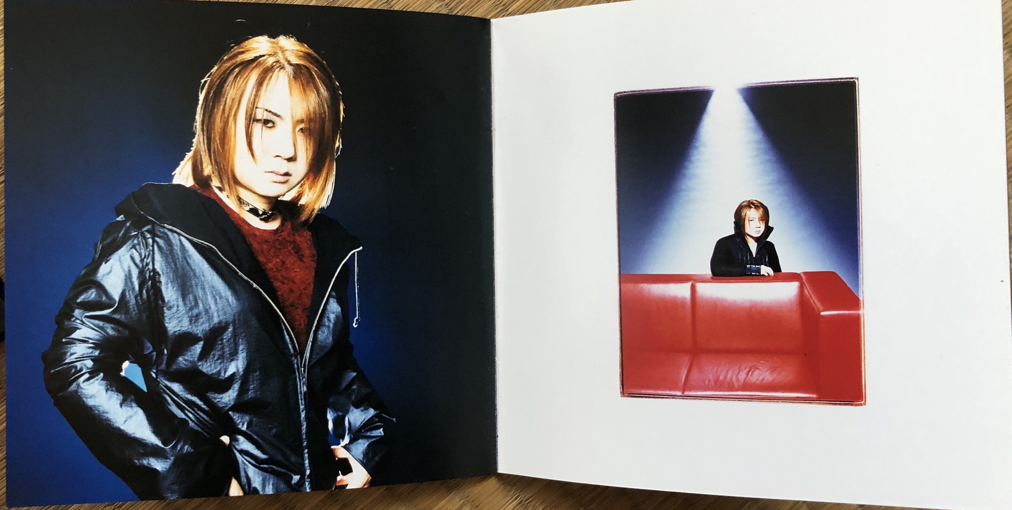 Major 1st album〝D・N・A〟 | Janne Da Arc discography 〝LEGEND OF