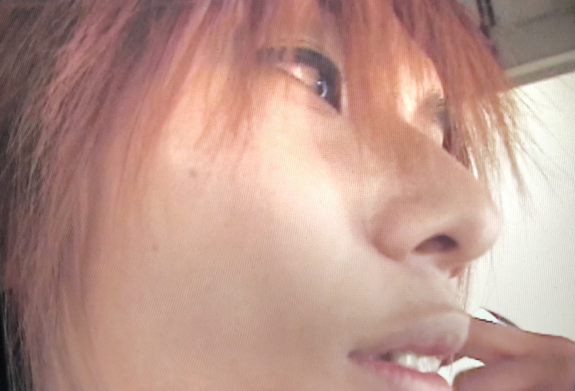 JanneDaArc 会報 ④ Janne Da Arc】会報☆vol.4～ 全39冊＆ファイル 4冊 セット