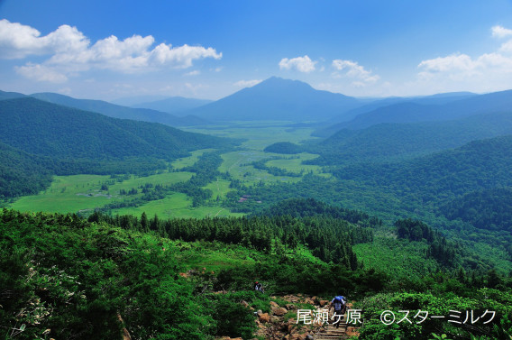 夏の尾瀬 スターミルクの見た風景