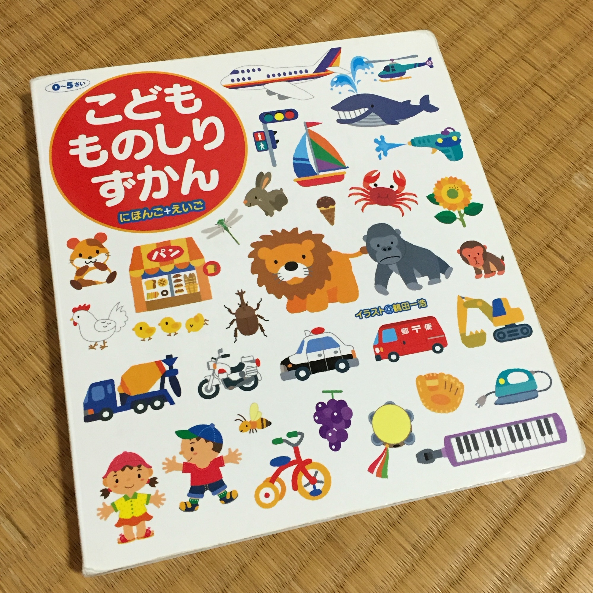 こども ものしりずかん | 「英語を得意教科にする」 小学生のための