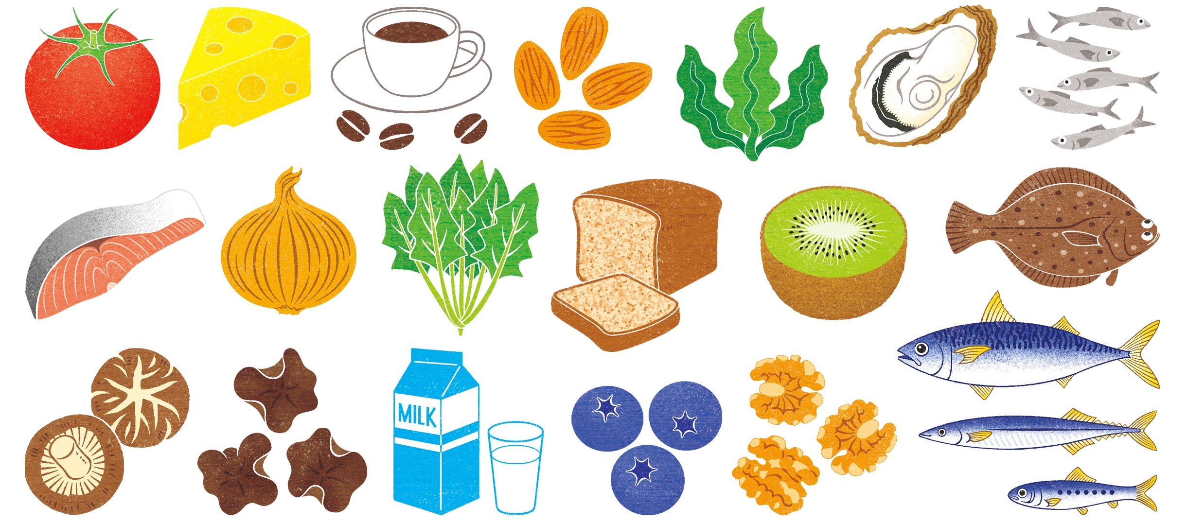 料理食材2 水彩ポップ | イラスト制作 斉藤ヨーコ