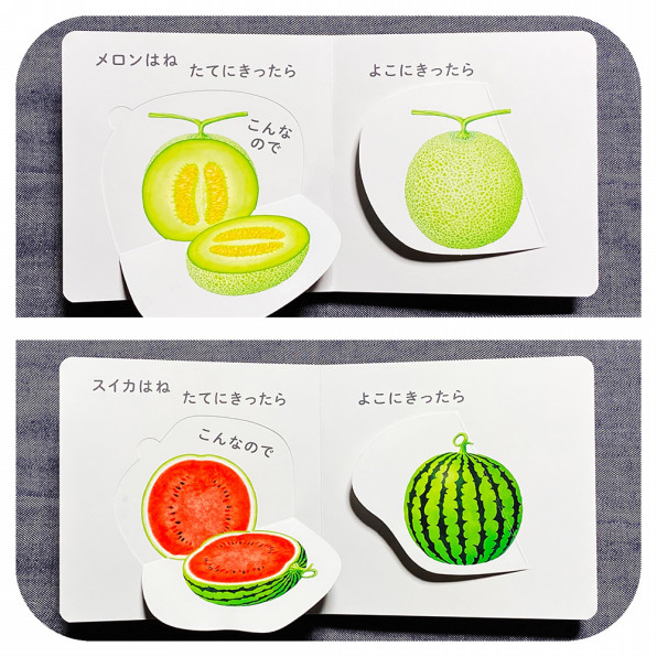 料理食材1 写実リアル イラスト制作 斉藤ヨーコ