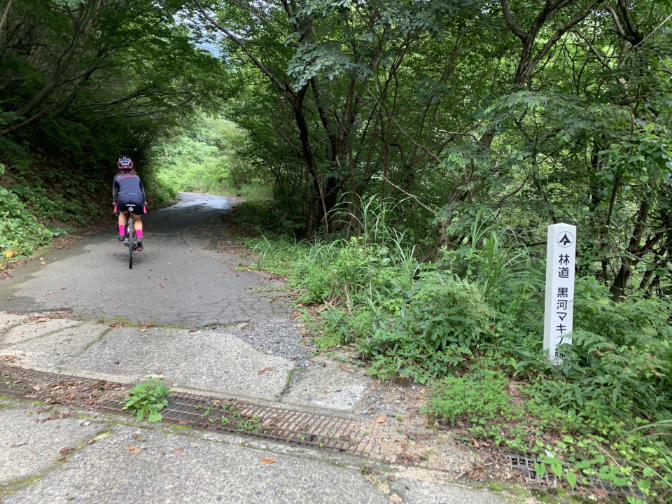 林道 滋賀から福井 自転車