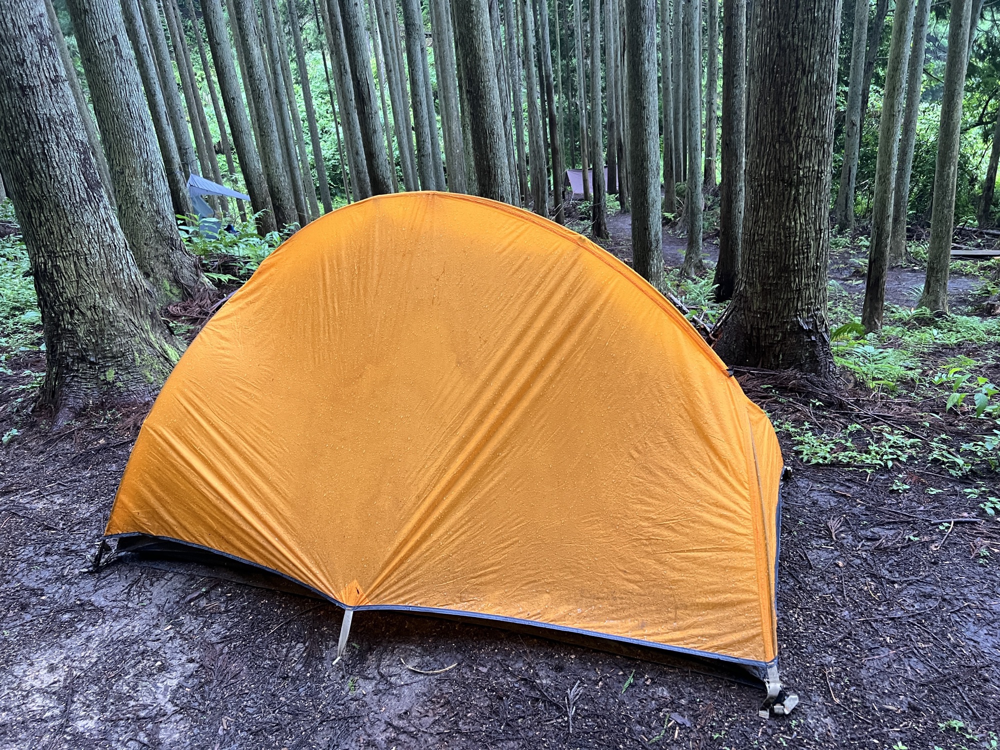 SwiftCampout 2024 | Snatch Cycles