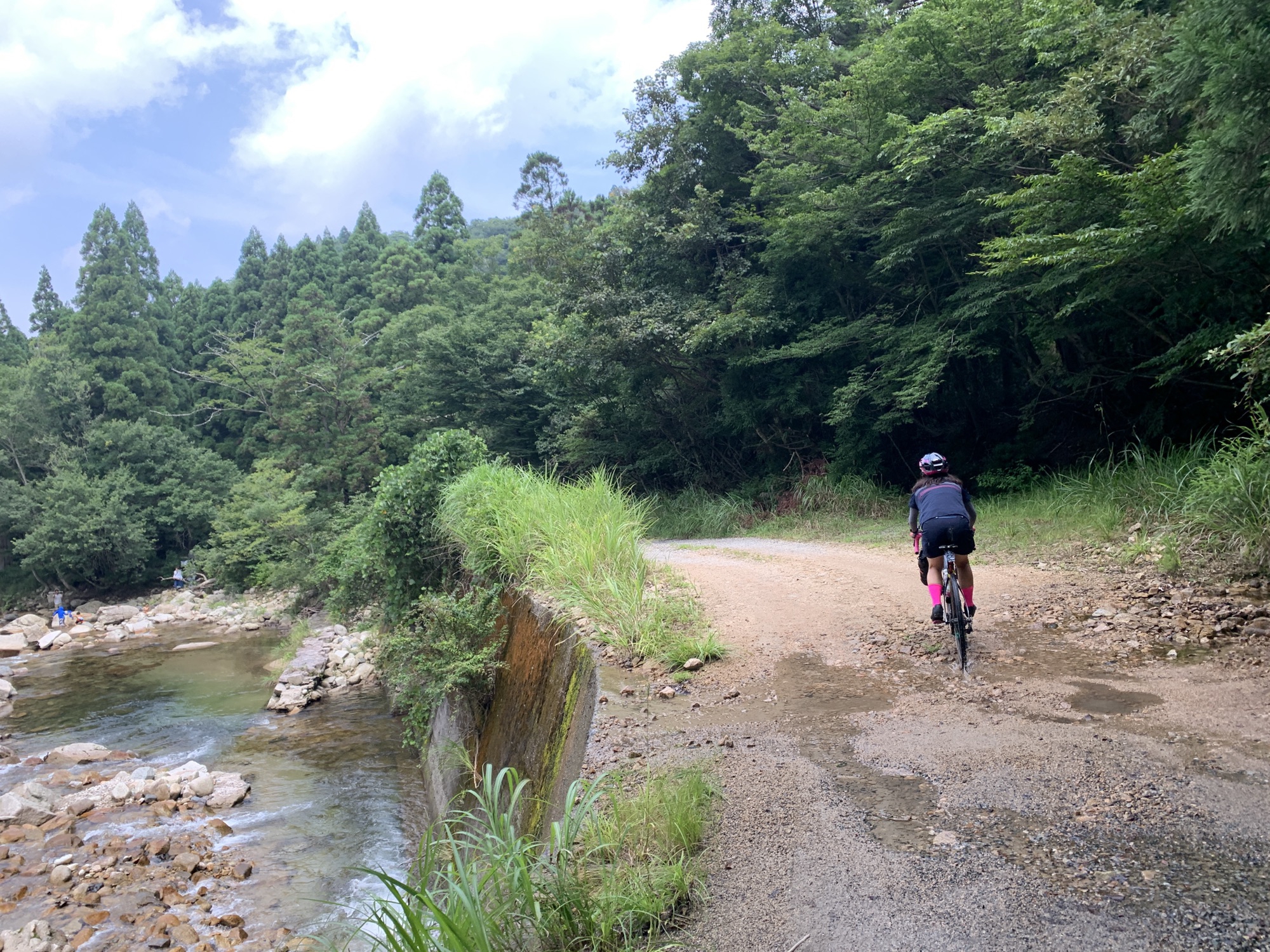 林道 滋賀から福井 自転車