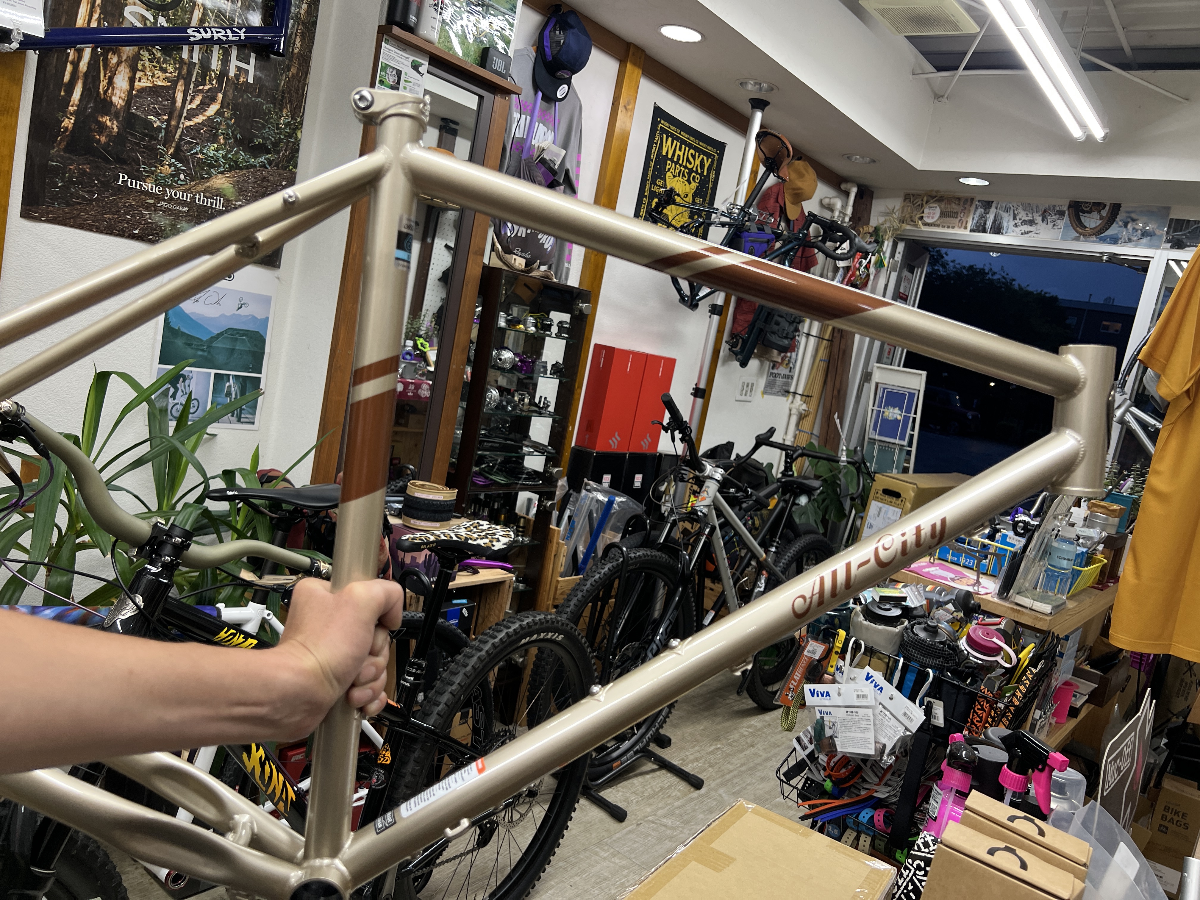 オールシティ、スペースホース。 | Snatch Cycles