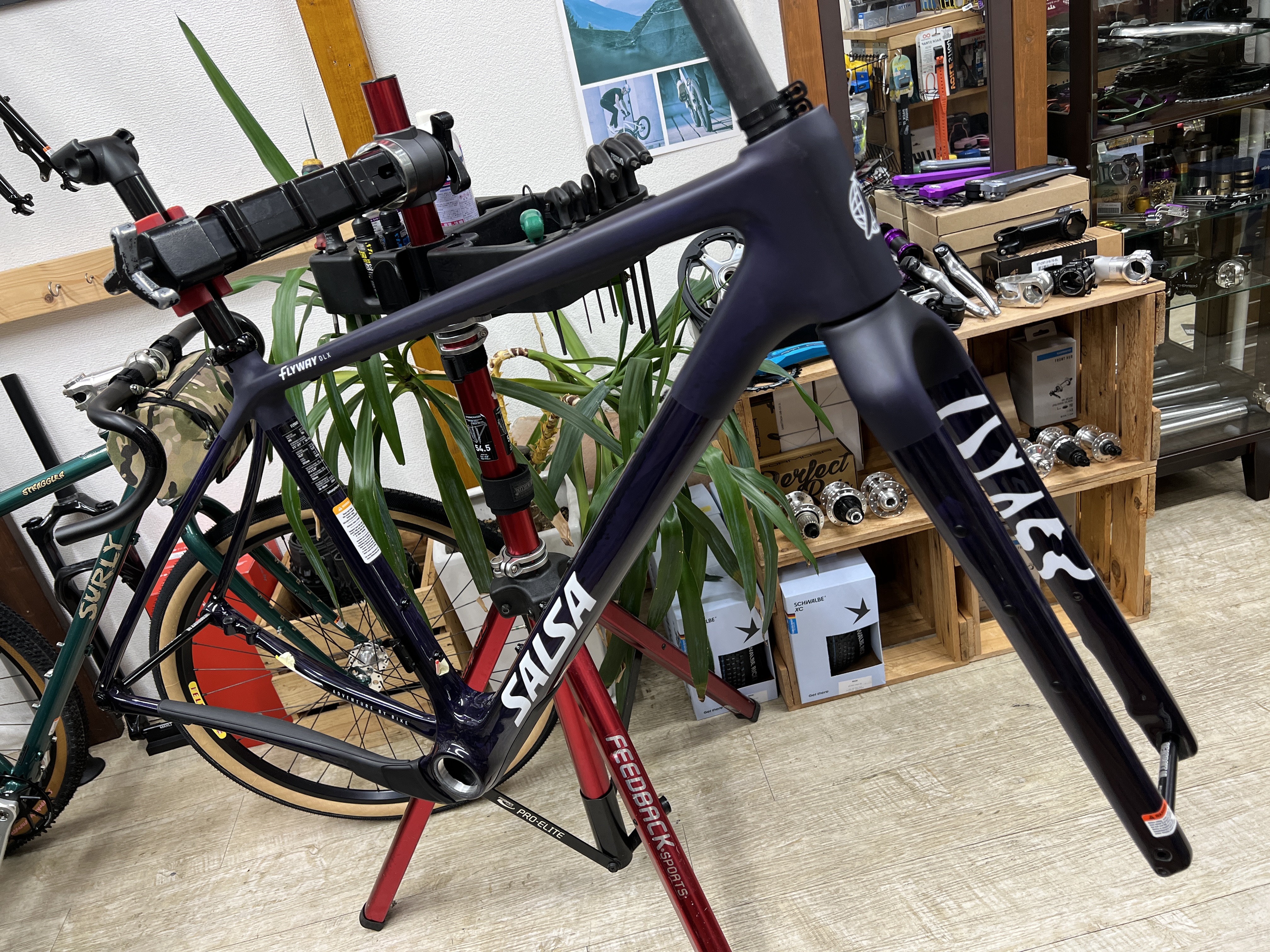 SALSA / サルサ | Snatch Cycles