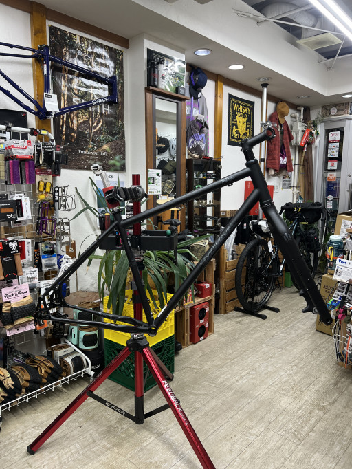 SALSA / サルサ | Snatch Cycles