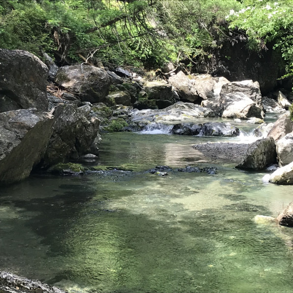 川遊びなら静岡県浜松市天竜区 阿多古川のオートキャンプ場 天懐