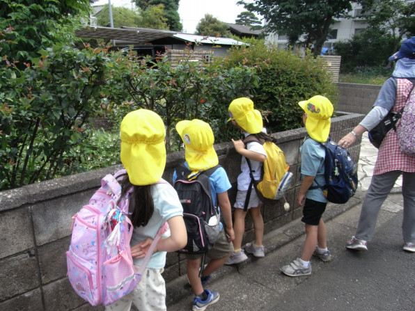 5月のお散歩 たんぽぽ幼児教室 西東京市 5月のお散歩 たんぽぽ幼児教室 西東京市