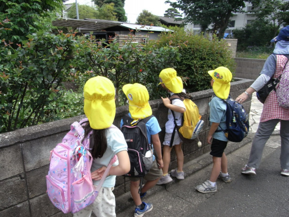 5月のお散歩 たんぽぽ幼児教室 西東京市