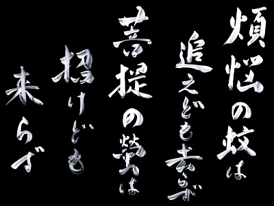 年06月の記事一覧 真宗大谷派 霊苔山 金相寺