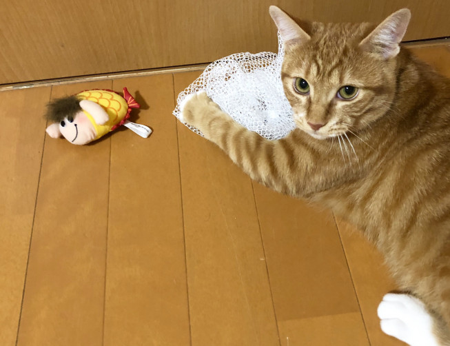 泳げたいやきくん ねこのて