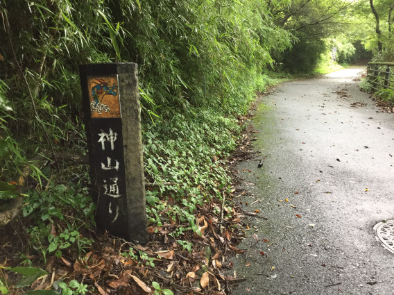 ひとりになれる場所 九頭龍の森 スピリチュアルの枠をひろげる