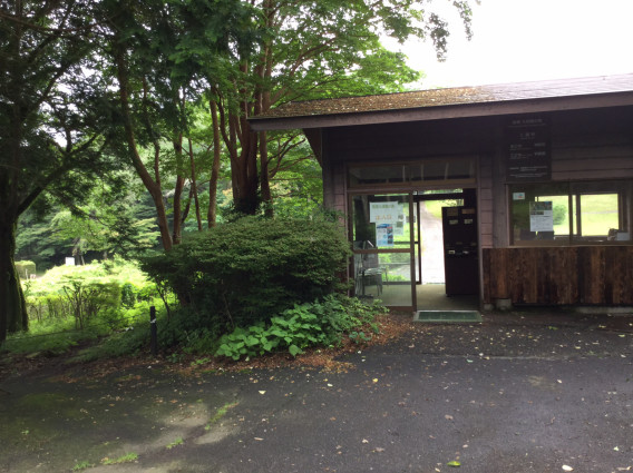 ひとりになれる場所 九頭龍の森 スピリチュアルの枠をひろげる