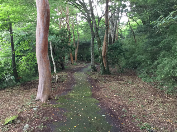 ひとりになれる場所 九頭龍の森 スピリチュアルの枠をひろげる