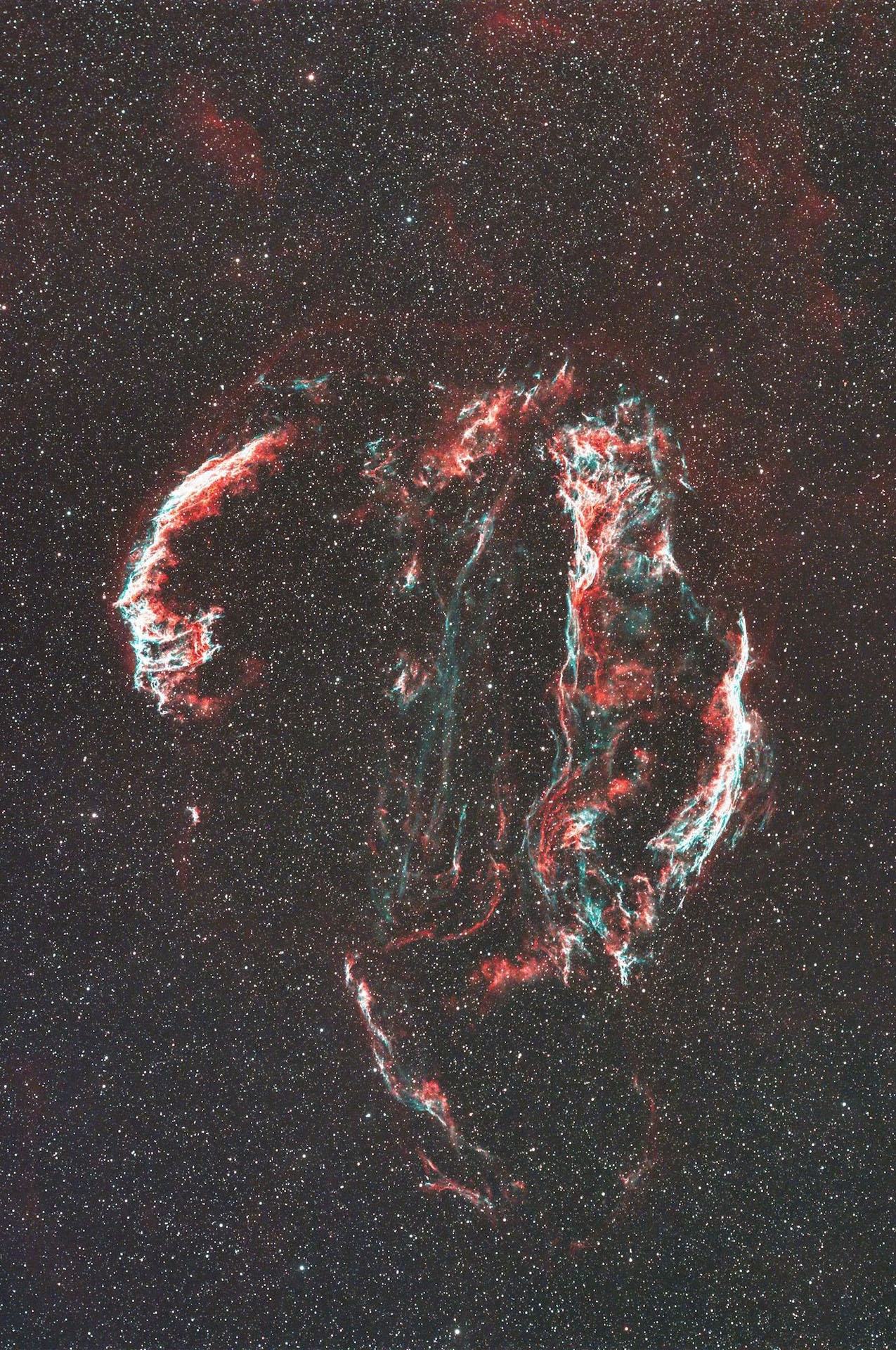網状星雲 | 鳥取天文協会 Tottori Society of Astronomy 網状星雲 | 鳥取天文協会 Tottori Society of Astronomy