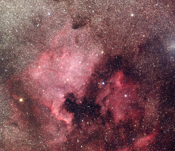 北アメリカ星雲 ペリカン星雲 鳥取天文協会 Tottori Society Of Astronomy 北アメリカ星雲 ペリカン星雲 鳥取天文協会 Tottori Society Of Astronomy
