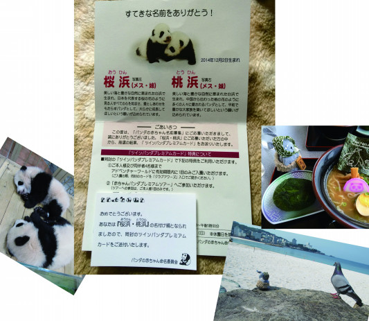 ぱんだの名付け親に Cottontail Office