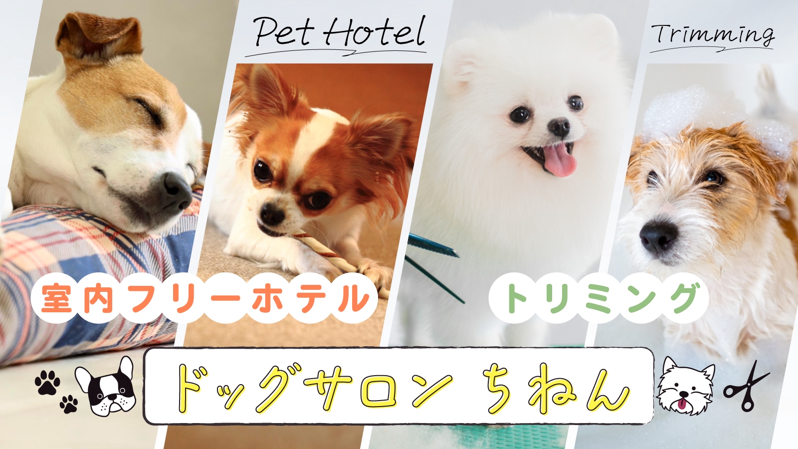 ドッグサロン ちねんの外観