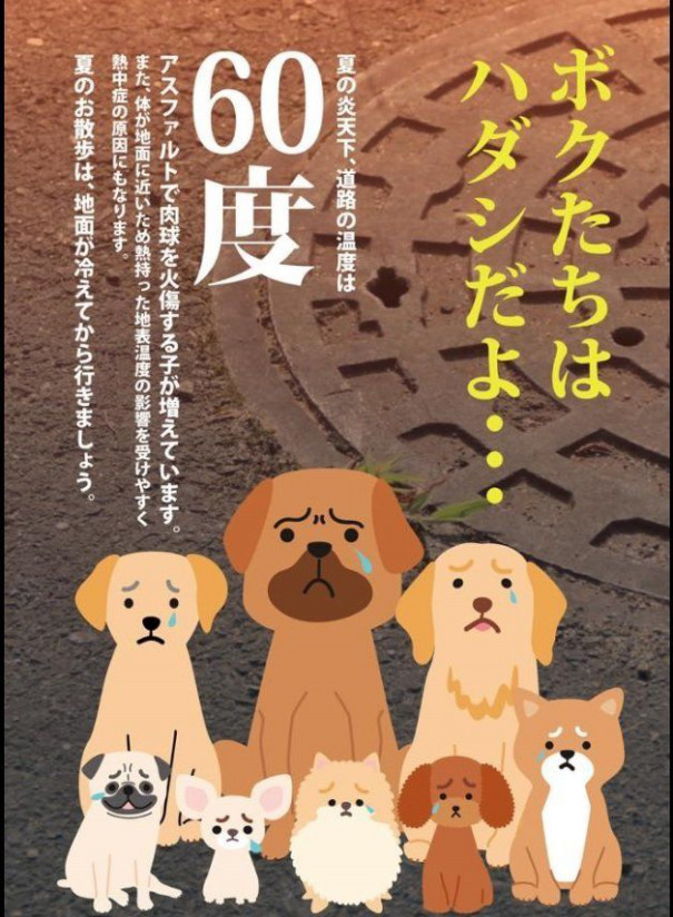 ワンちゃんが危険 灼熱のアスファルト イ ヌ ヤ ド 愛犬と 宿泊する 小さなホテル