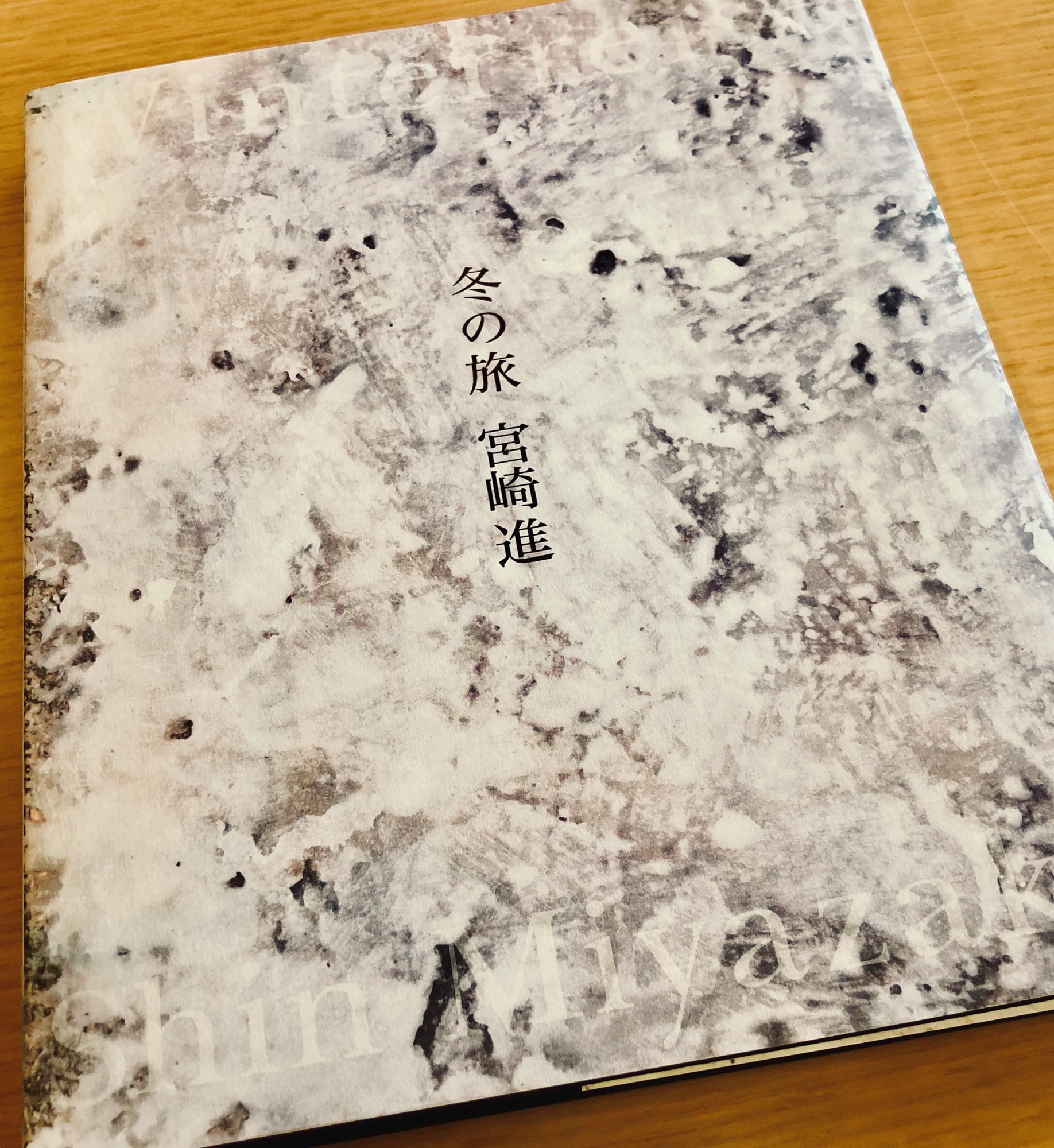 宮崎進、【海辺の光景】、希少な大判額装用画集より、美品、日本