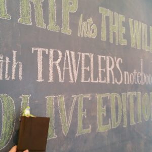 トラベラーズノートオリーブエディション | 日々記～nichinichi-ki